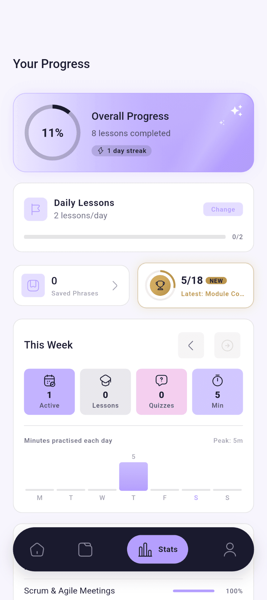 FluentPro Stats showing lesson completion, a daily goal, achievements and weekly practice